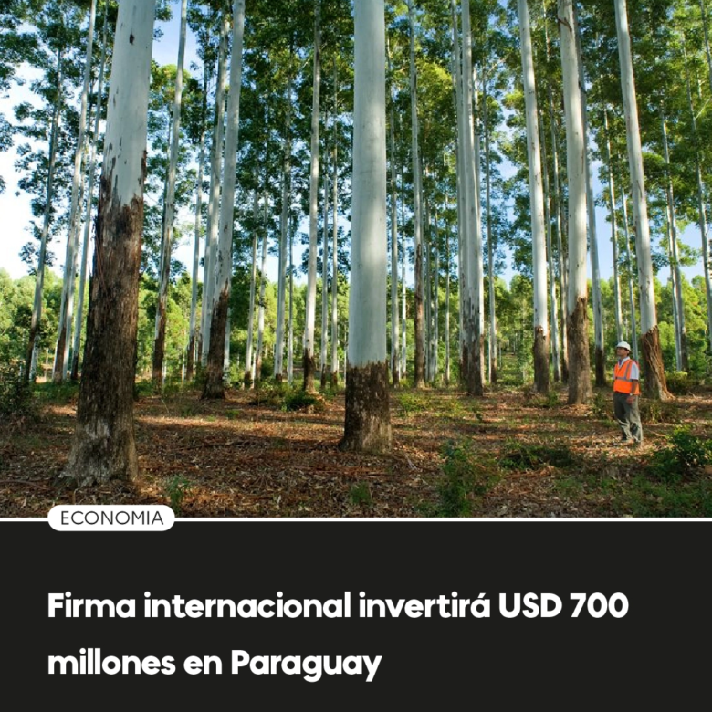 Firma internacional invertirá USD 700 millones en desarrollo forestal sostenible en Paraguay